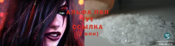 прущие крисы Абаза
