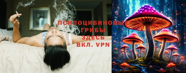 марки lsd Алексеевка