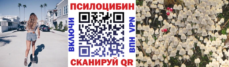 купить   Полевской  Псилоцибиновые грибы мухоморы 