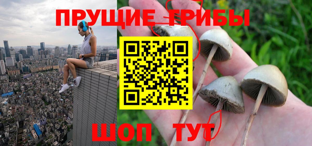 Псилоцибиновые грибы MAGIC MUSHROOMS Полевской