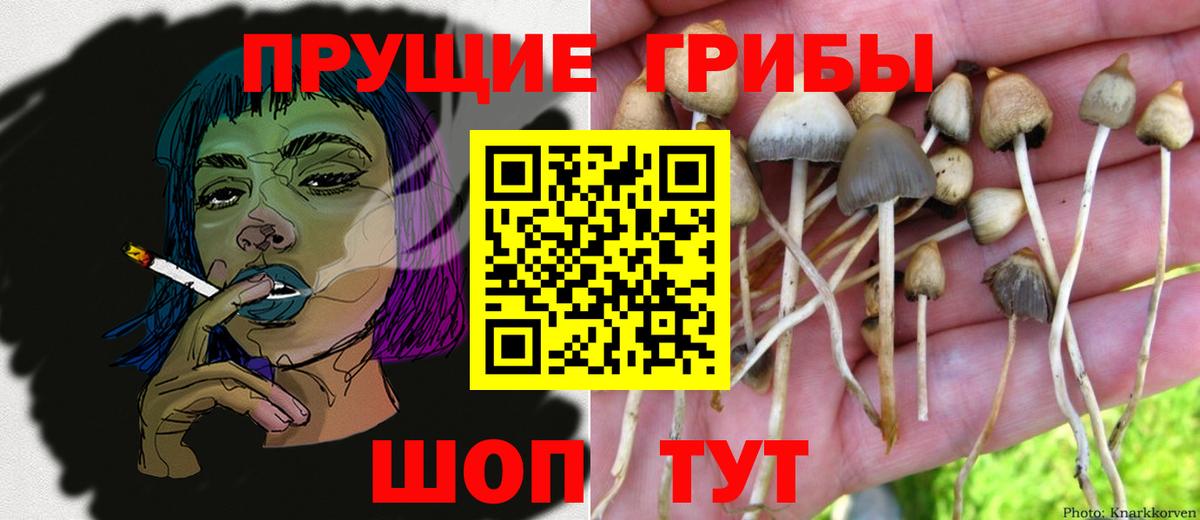 где продают наркотики  Галлюциногенные грибы MAGIC MUSHROOMS  Вход с VPN  Полевской 